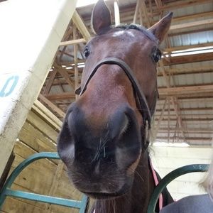 Meet your Posher, April